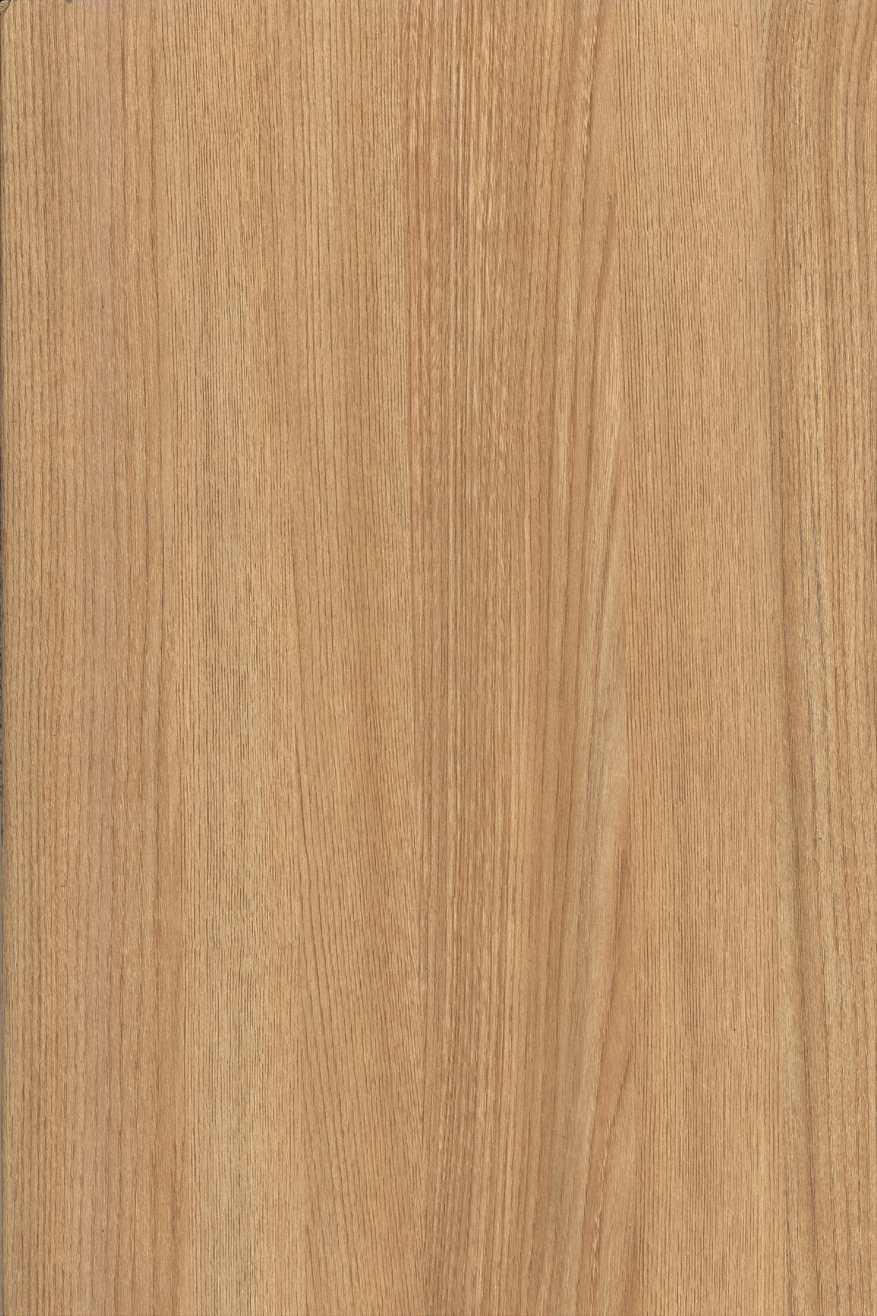 8004 GOLDEN OAK